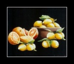 cliquer pour agrandir
